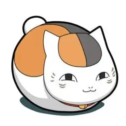 海贼王娜美